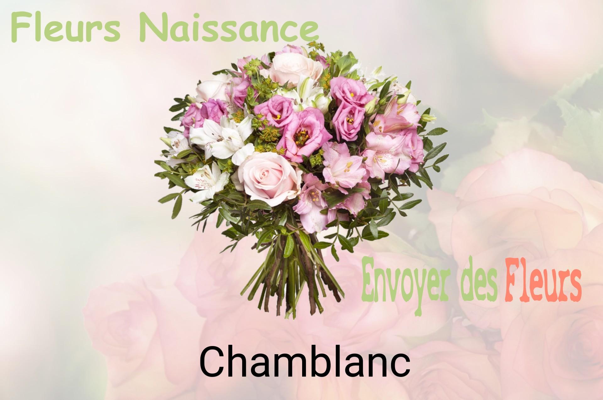 Bouquet de fleurs de naissance livré à Chamblanc